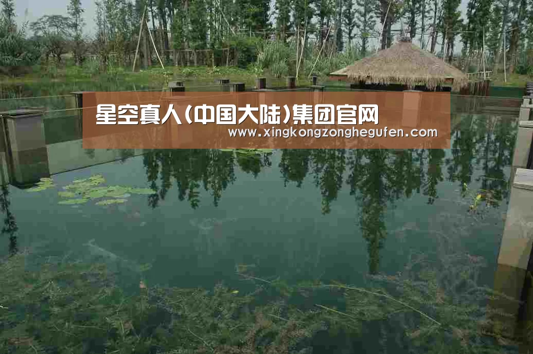 案例展示二(图1)