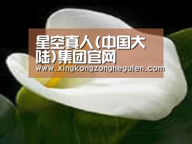 产品名称七