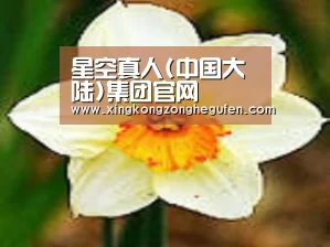 产品名称四
