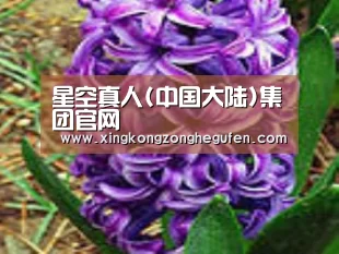 产品名称八