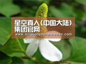 产品名称三