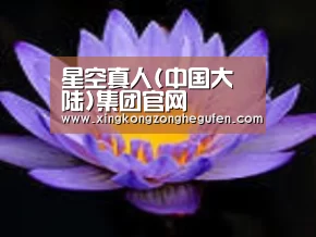 产品名称六