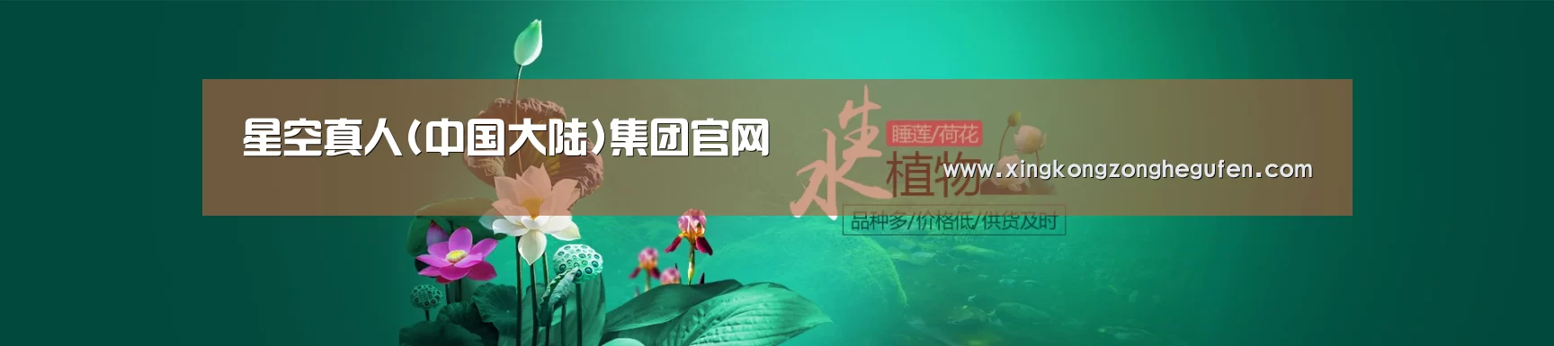 鲜花水草花卉网站模板