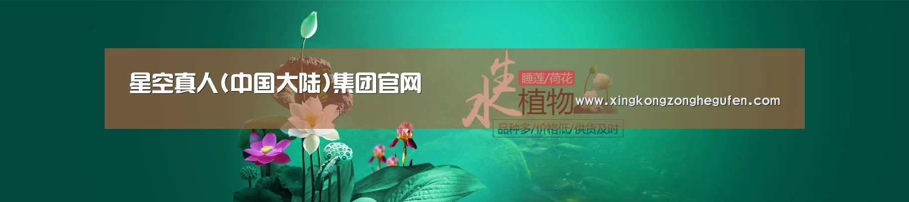 鲜花水草花卉网站模板